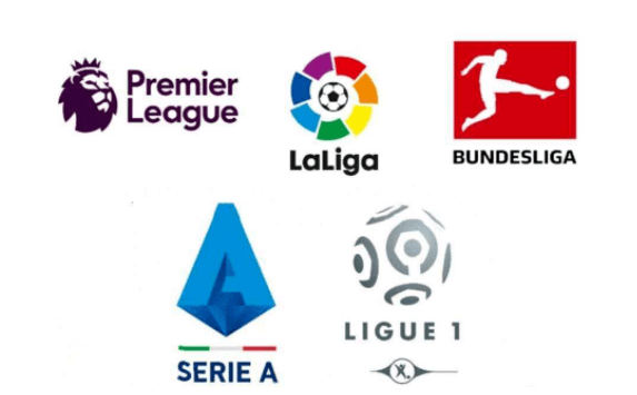 育文化的重 育文化的重